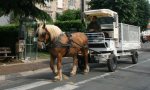 horse-and-cart-recycling-005