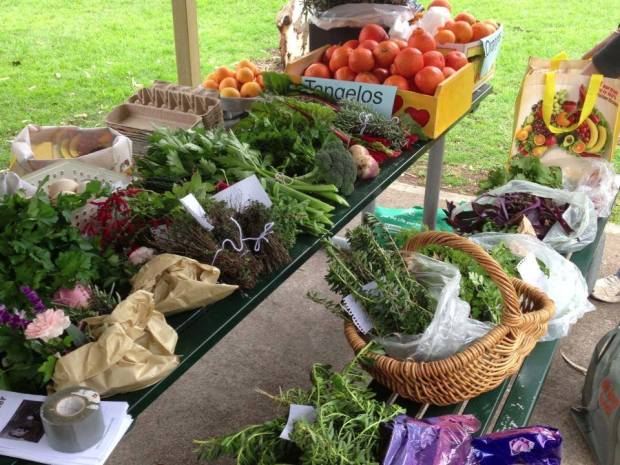 10392389_399885173491811_5222397162784319172_n